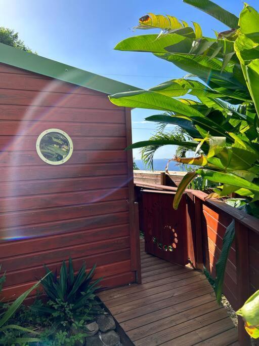 Bungalow, Gite Les Fleurs Du Colibri Буйант Экстерьер фото